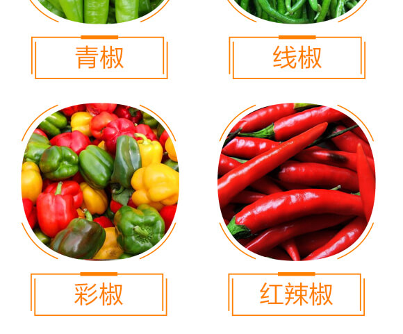 ����ý��S��-������-���r(n��ng)���_09