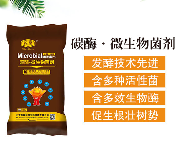 10�|���̼ø��΢�������-Ȫ�����_02