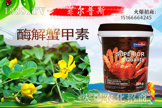 ������ô�Nֲ�������Nֲ���gҪ�c��