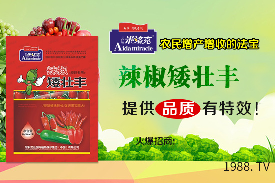 辣椒葉子卷曲由什么原因?qū)е?辣椒葉子卷曲防治措施!