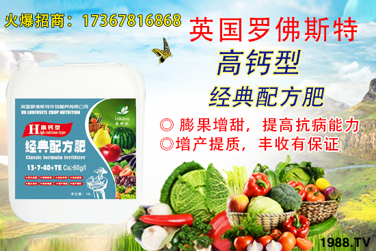     6�����ؿ��ܕ�(hu��)��q��2020��6��2�ո��؅^(q��)�����������S��(b��o)�r(ji��)