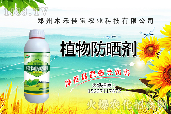 ������Nֲ����Ҫ�c(di��n)����Щ�����������Է�����