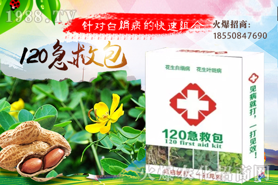 黃瓜嫁接有什么好處？如何培育黃瓜嫁接苗？