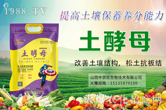 葡萄套袋有哪些好處，葡萄套袋技術(shù)要點及注意事項！