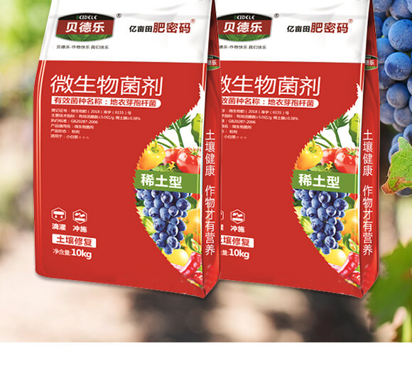 ϡ��΢�������-���ܴa-ؐ��_02