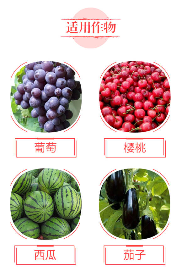 調(diào)理型微生物菌肥—果然好-鼎盛河山_04