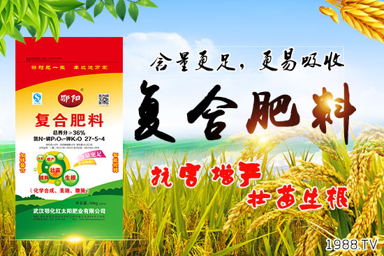 Ѫ������Щ�I(y��ng)�B(y��ng)�r(ji��)ֵ����Ѫ����ʲô��̎��