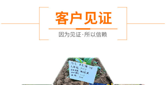 �Z�����＼�g(sh��)���޹�˾1_10