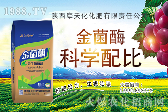 �Nһ���O���ĳɱ��Ƕ��٣��ж����������O���Nֲ���g�c������