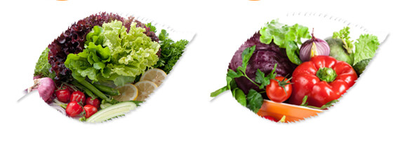 ����Ԫ��ˮ�ܷ�-���W����_08