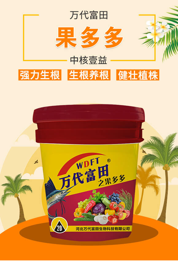 果多多-中核壹益_01