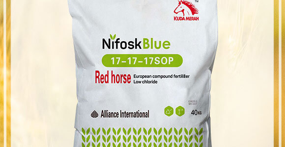 �M(j��n)�ڏ�(f��)�Ϸ�-�����Ի��W(xu��)����17-17-17SOP-KUDAMERAH���_(d��)÷��_02