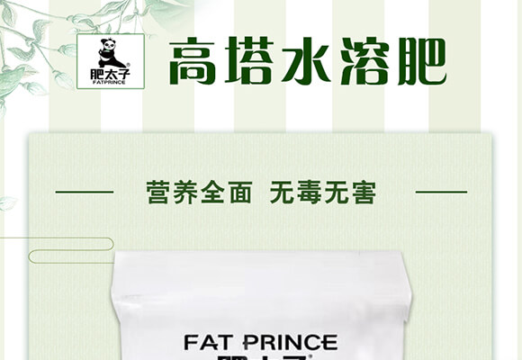 高塔水溶肥15-5-32-肥太子_01