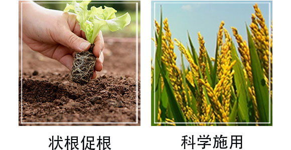 ����ֲ��ˮ�ܷ�-�W�{������-�W�{�r�I(y��)_05