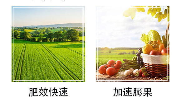 ����ֲ��ˮ�ܷ�-�W�{������-�W�{�r�I(y��)_06