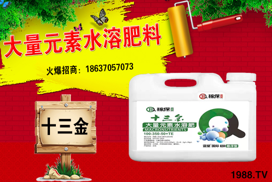 ���؃r(ji��)��