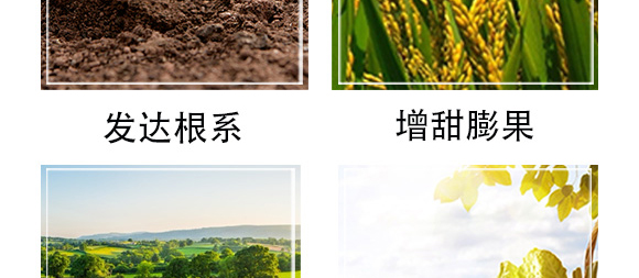 �׷����־���-�۟oۙ-�T�_(d��)_07