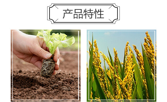 高塔水溶肥15-5-32-肥太子_04