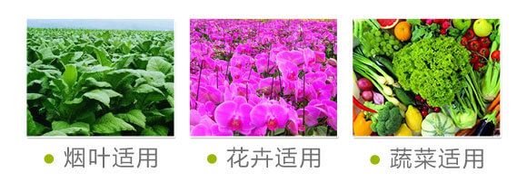 ����ֲ��ˮ�ܷ�-�W�{������-�W�{�r�I(y��)_08