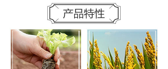 ����������-���S���@_04