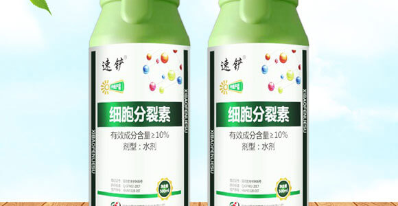 ����������-���S���@_02