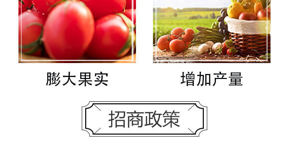 ����������-���S���@_06