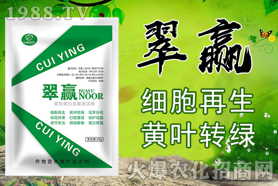 �ļ���ʩ�r(n��ng)ˎ