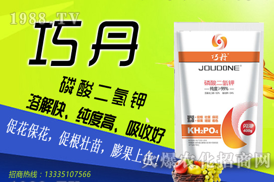 ���������������Щ���ļ����Ӹ߮a����������