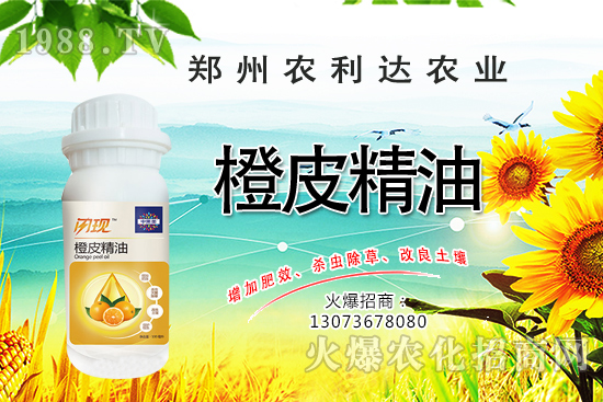 ��Ƥ�������˽���٣���Ƥ������ʲô��������ô�x��Ƥ������