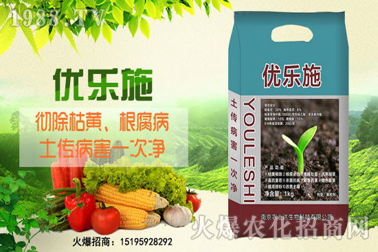 種芹菜空心多，品質(zhì)差？芹菜空心原因及防治措施！