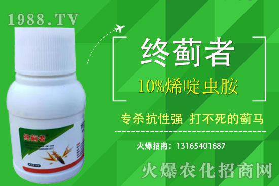10%烯啶蟲胺能打薊馬嗎？有什么特點？10%烯啶蟲胺使用注意事項！