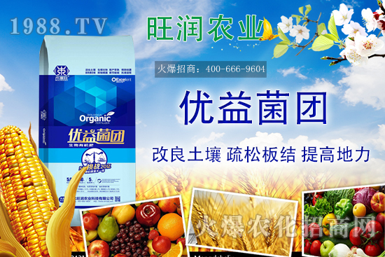 �����ЙC����ʲô���������ЙC�ʵă�(y��u)�ݣ��c�������ϵą^(q��)�e��