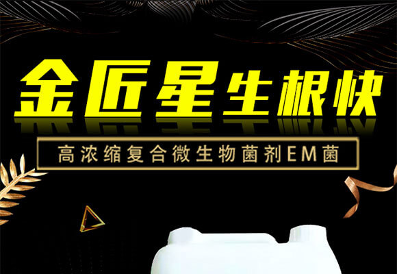 �ߝ�s�ͺ�΢�������EM��-������-����_01