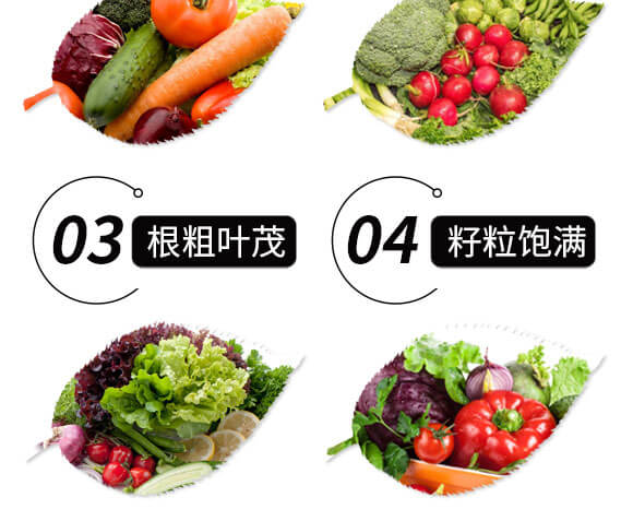 �������⛣�10ǧ�ˣ�-����Z_05