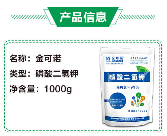 �������⛣�1000g��-����Z_03