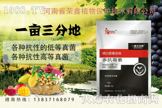 �׷����C����˪ù�������y��������ˎ������Щ�������a(ch��n)Ʒ�R����