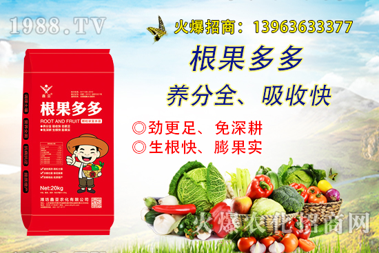 �����������������ô�k����������ࡱ����̽����������������B��