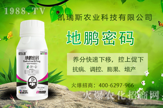 �P��˹�r(n��ng)�I(y��)��ô�ӣ��P��˹�r(n��ng)�I(y��)����a(ch��n)Ʒ����Щ��