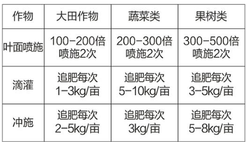 ����s����x�ӵ�-�����r