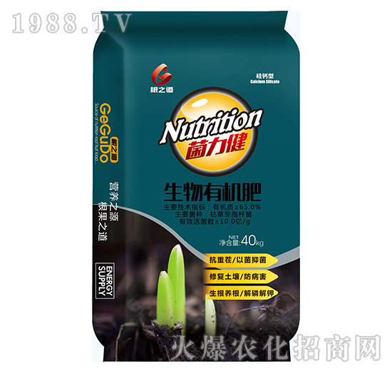 Ҫ�����������ϵ����Ҫ���۹��֮����ô��������Щ����a(ch��n)Ʒ��