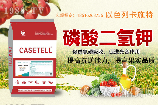  ����������ʲô���ϣ������������ü�ʹ�÷�����