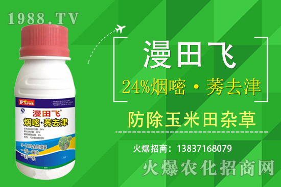 24%���ס�ݬȥ�����Ч���Æ���24%���ס�ݬȥ����ʲô���c��