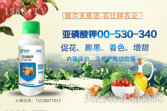 �I�B(y��ng)�������A(y��)�������������������@ôţ���������������ԭ����