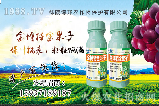 ������˥�p�a(ch��n)��(y��n)��ԓզ�k��������˥ԭ�򣬷Nֲ��(h��)��α�����