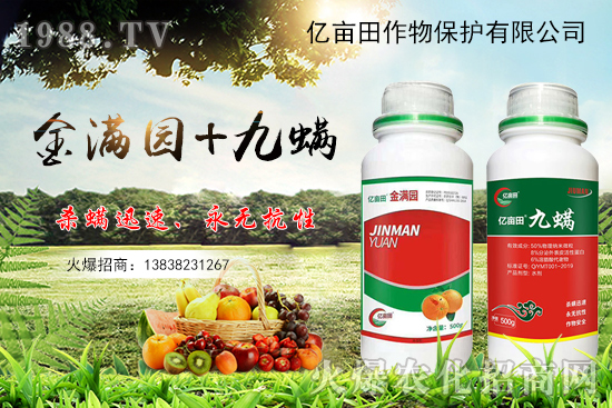 ����x�y�|������M�@+�������p���������ã��Ț��约�x���з�Ч��