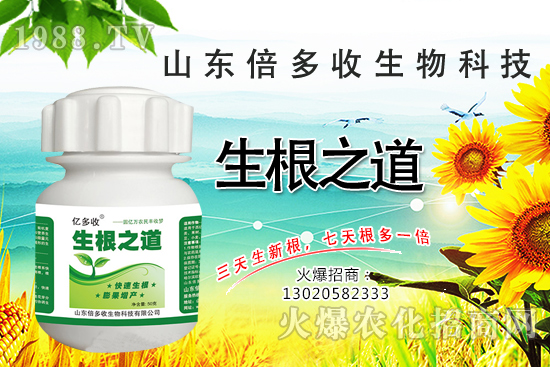 作物根系差，產(chǎn)量低？“生根之道”快生新根，抗病增產(chǎn)無憂！