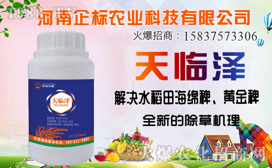 ���ݰ����ݙC(j��)�������ݰ��ܷ�����Щ�ݣ�ʹ��ע�����(xi��ng)����Щ��