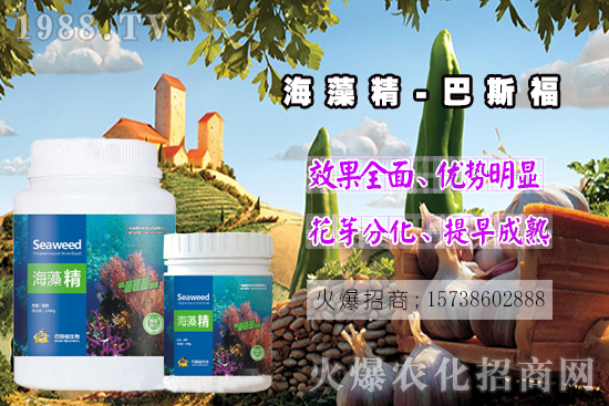  ߀���˽⺣�徫��ɶ����������out�������徫�����ж��