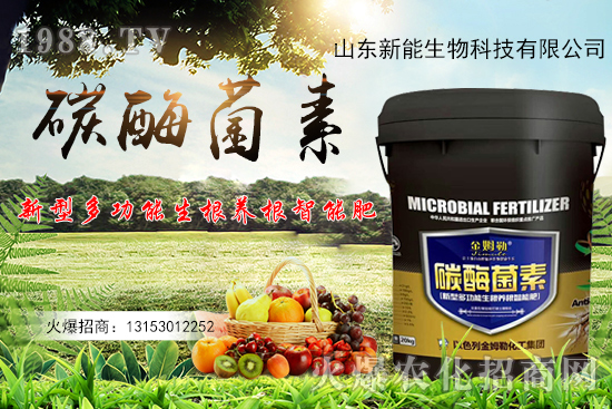 һ�ʶ������ЙC̼+����ø+�����+�I�B(y��ng)Ԫ����̼ø������ʲô������