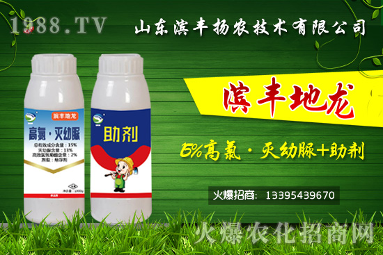 ���^�������������������Ч���Σ���15%���ȡ�������+�����������p���U(xi��n)��	